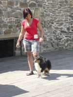 /album/fotogalerie-vystavni-ne-uspechy/vystava-kv-jpg/